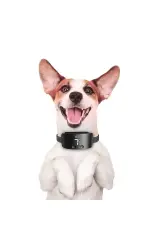 Doggie Havlama Önleyici Eğitim Tasması – Şarjlı | Ayarlanabilir | Siyah